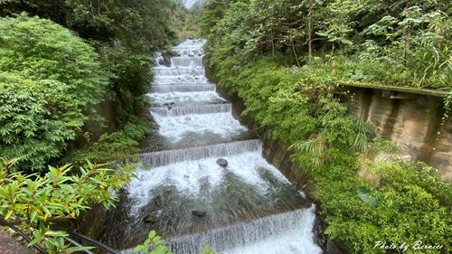 1211 信賢部落18.jpg