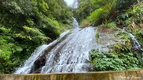 1211 信賢部落03.jpg