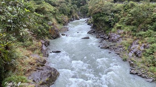 1211 信賢部落06.jpg