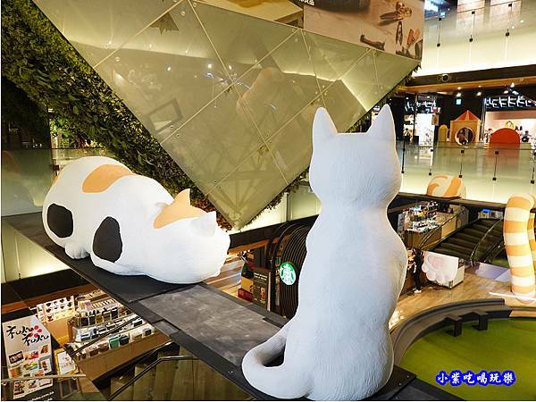 11park遇見貓 (1).jpg