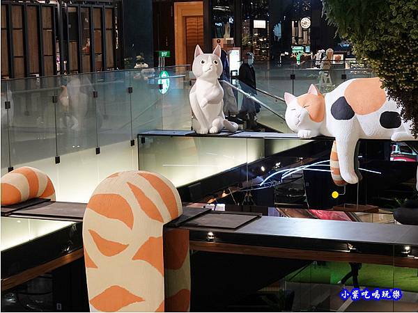 11park遇見貓 (5).jpg