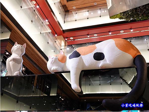 11park遇見貓 (3).jpg