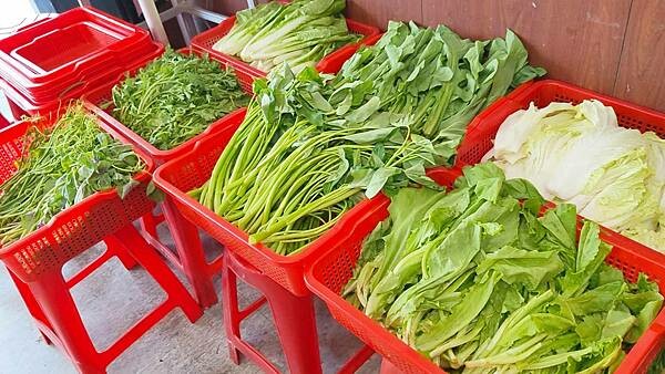 【坪林美食】泰源茶莊|CP值爆表!沒有低消,文山包種茶免費讓你喝到飽!更有茶油料理超美味