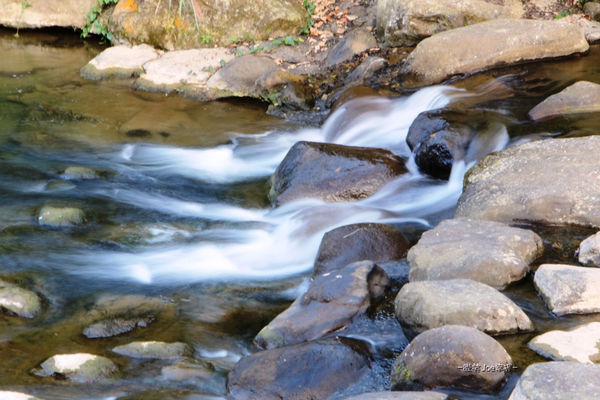 IMG_4268.jpg IMG_4268.jpg