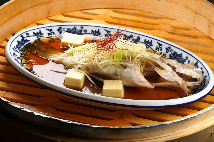 DSC04546.JPG DSC04546.JPG