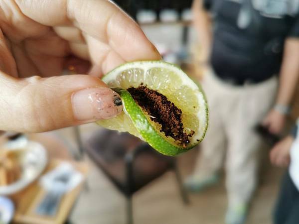 (南投/國姓) 「覓境露營 x 行者咖啡 」覓境森林露營場地及咖啡廳，超豐富的下午茶，滿足大家的味蕾，也可以預約體驗檸檬醋DIY - COCO享天下(隆爸妤媽愛白白)