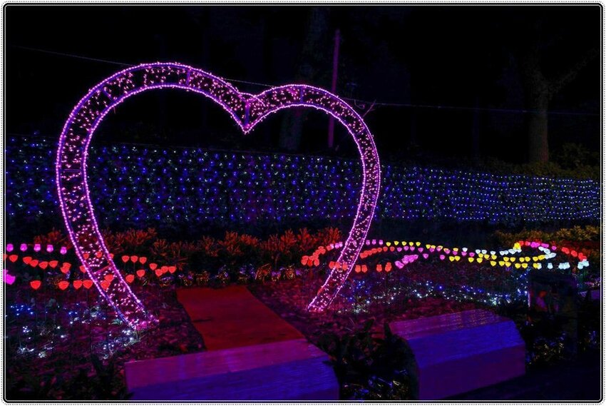 2021竹山燈會║牛舞花竹藝燈會,結合老街小吃美食、伴手禮、花海景點大搜羅,IG打卡必去景點,讓你一天走不完!