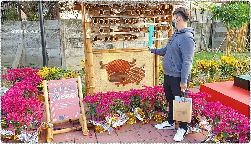 2021竹山燈會║牛舞花竹藝燈會,結合老街小吃美食、伴手禮、花海景點大搜羅,IG打卡必去景點,讓你一天走不完!