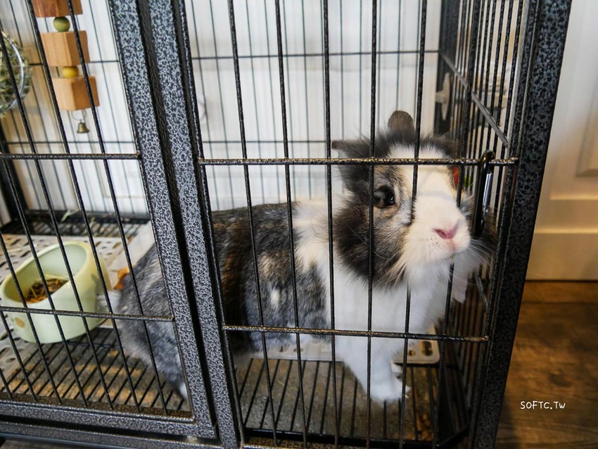 高雄美食推薦》烏拉森林歐風餐館●波蘭&日裔加拿大老闆用美食帶你環遊世界! 隱身高雄巷弄滿滿異國風情秘密森林餐廳 - 軟西，遊記