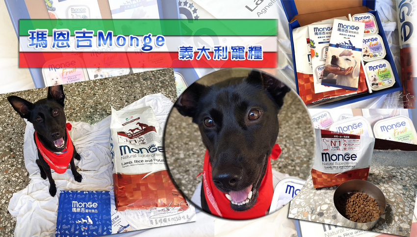 義大利寵糧瑪恩吉Monge x專業噗嚨共Miso吃走coverphoto.jpg