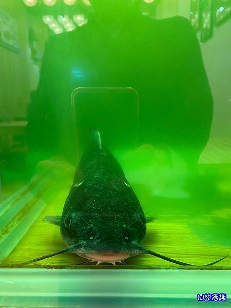 爆川辣妹子_210112_1