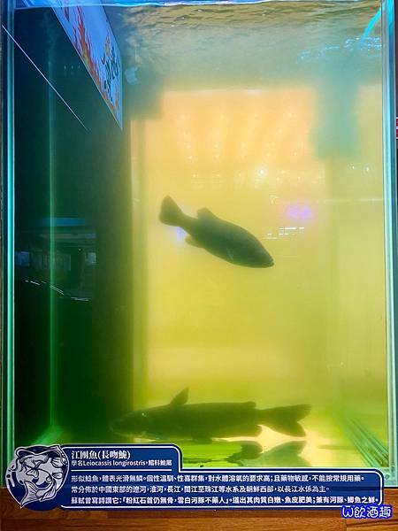 爆川辣妹子_210112_5