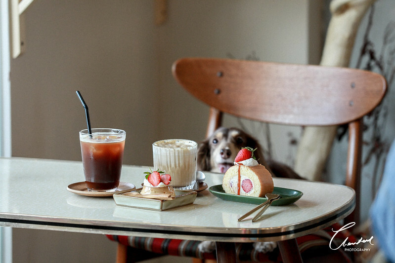 1J6A7074-2拷貝-2拷貝