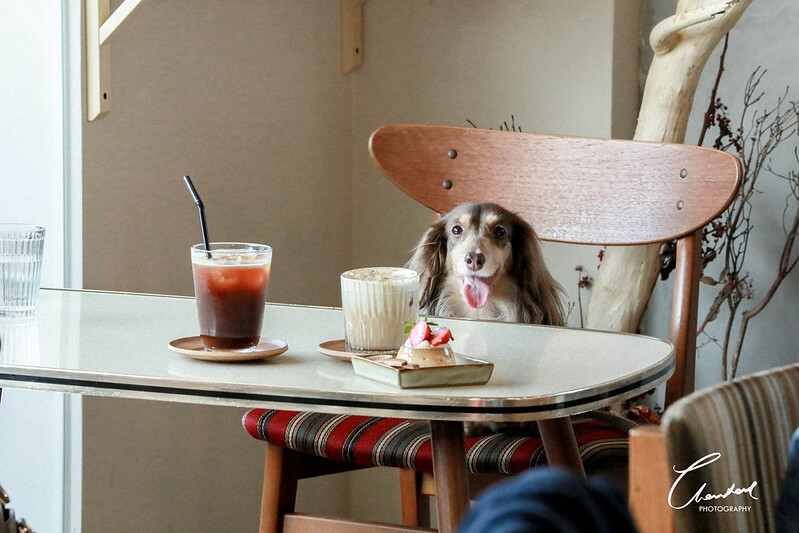 1J6A7061-2拷貝-2拷貝