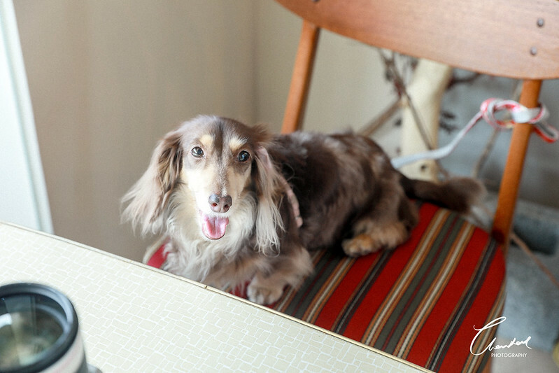 1J6A6900-2拷貝-2拷貝