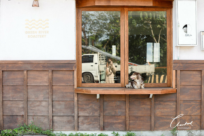 1J6A6785-2拷貝-2拷貝