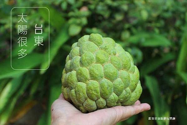 48374338_367085867384852_2272627042111455232_n 48374338_367085867384852_2272627042111455232_n