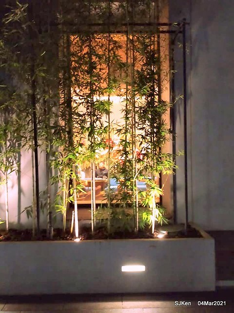 Starbucks coffee shop at Hotel Resonance - Taipei, Taipei,Taiwan, SJKen, Mar 4, 2021.