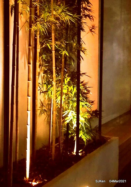 Starbucks coffee shop at Hotel Resonance - Taipei, Taipei,Taiwan, SJKen, Mar 4, 2021.