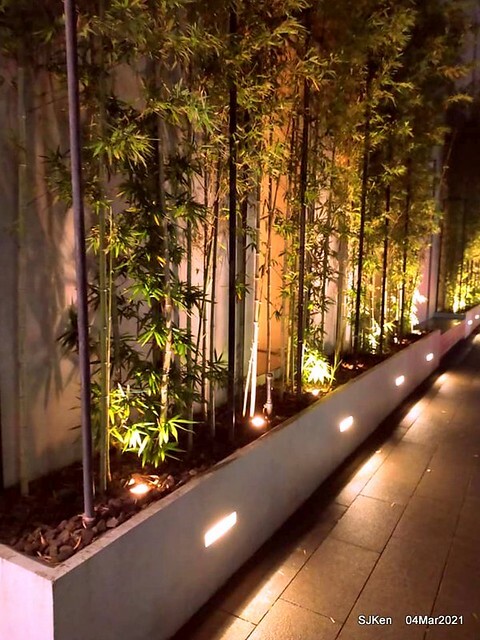 Starbucks coffee shop at Hotel Resonance - Taipei, Taipei,Taiwan, SJKen, Mar 4, 2021.