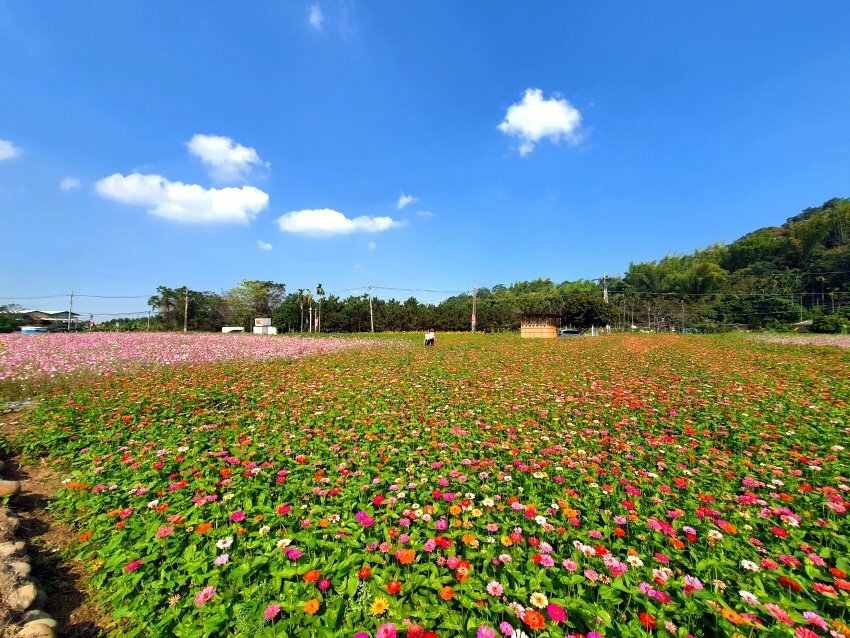 【2021竹山燈會】逛街美食地圖+拍照攻略(含小吃、伴手禮、停車場等)!