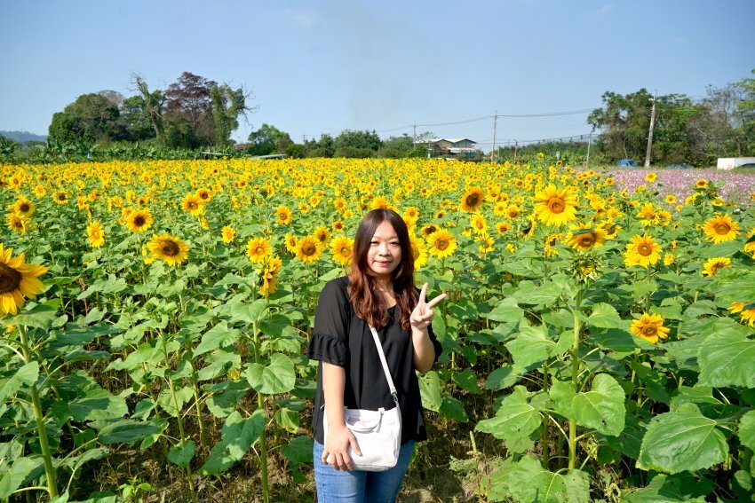 【2021竹山燈會】逛街美食地圖+拍照攻略(含小吃、伴手禮、停車場等)!