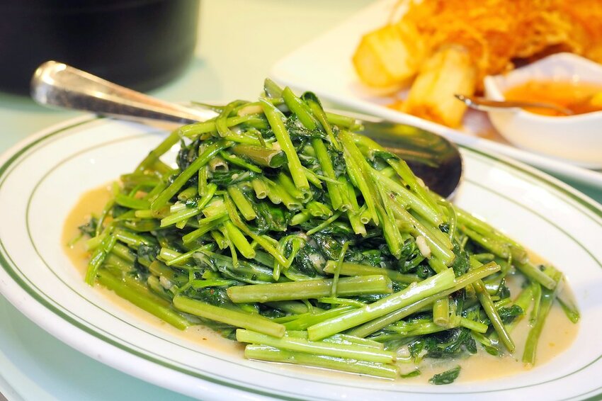 跨菜系中式料理加上好米吃到飽,集結川、台、粵等熱門中式人氣名菜,家族聚會好去處♥時時香SHANN RICE BAR♥