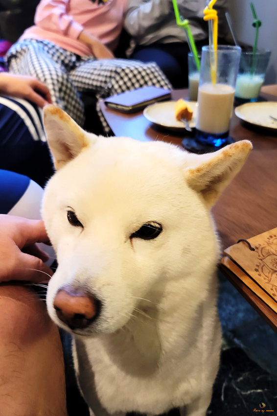 20210103_143404.jpg 20210103_143404.jpg