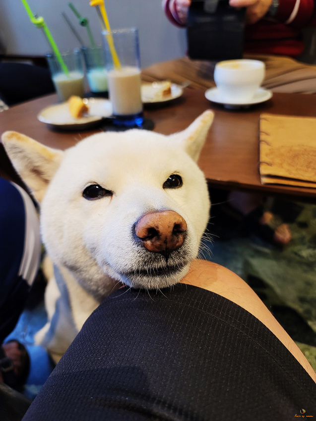 20210103_143456.jpg 20210103_143456.jpg