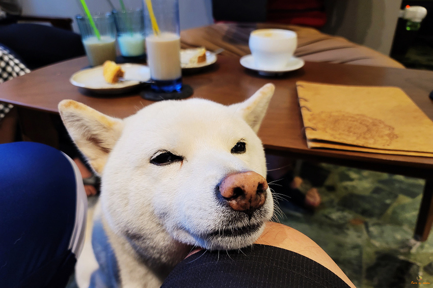 20210103_143510.jpg 20210103_143510.jpg