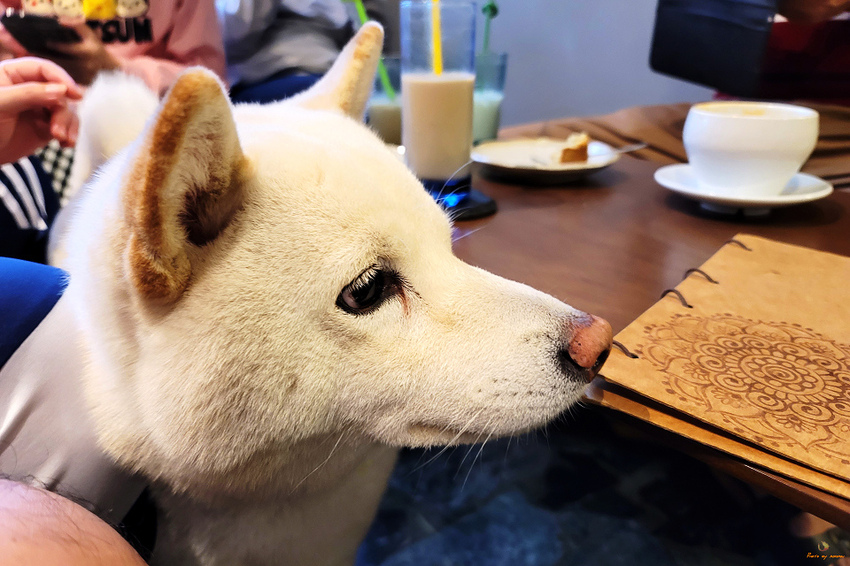 20210103_143306.jpg 20210103_143306.jpg