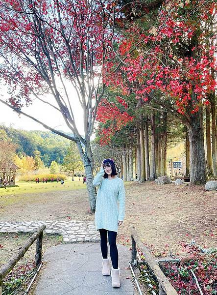 武陵農場 一年四季風景不打烊,武陵四秀賞櫻賞楓-柳杉步道 武陵農場 一年四季風景不打烊,武陵四秀賞櫻賞楓-柳杉步道