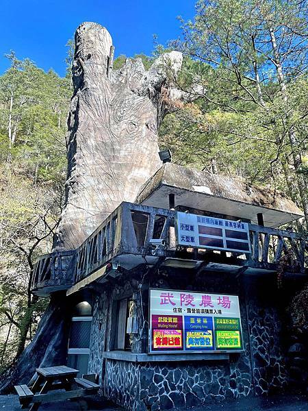 武陵農場 一年四季風景不打烊,武陵四秀賞櫻賞楓-入口收費站 武陵農場 一年四季風景不打烊,武陵四秀賞櫻賞楓-入口收費站