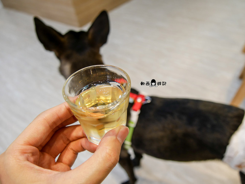 信義區寵物友善餐廳推薦》阿公的汪喵厝●不必再把狗狗留在家!超大狗狗奔跑空間寵物友善餐廳 健康營養美味餐食毛孩與主人都能吃 - 軟西，遊記