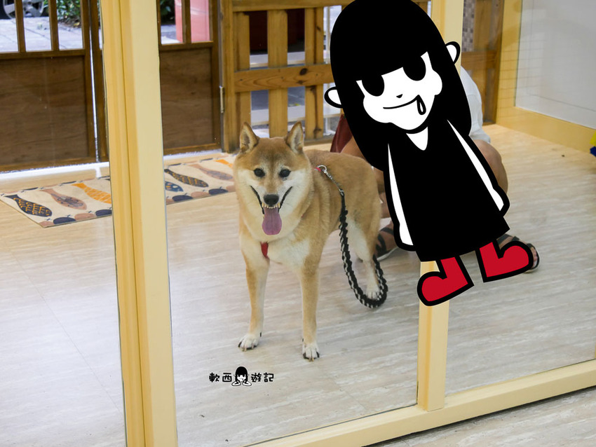 信義區寵物友善餐廳推薦》阿公的汪喵厝●不必再把狗狗留在家!超大狗狗奔跑空間寵物友善餐廳 健康營養美味餐食毛孩與主人都能吃 - 軟西，遊記