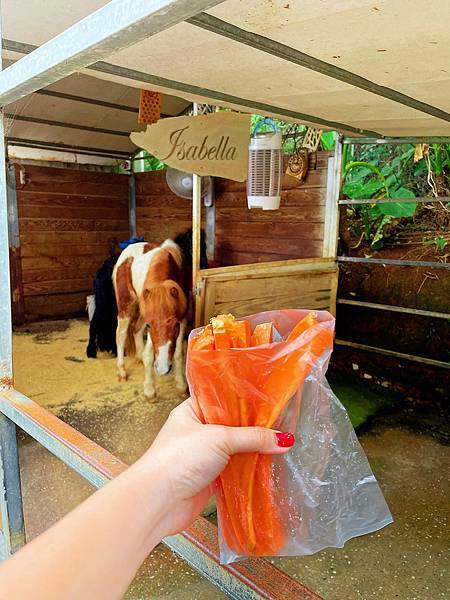 小馬貝菈-Ezi森活-餵小馬3.jpg