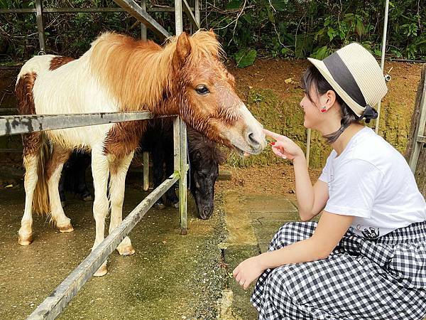 小馬貝菈-Ezi森活-餵小馬8.jpg