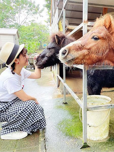 小馬貝菈-Ezi森活-餵小馬6.jpg