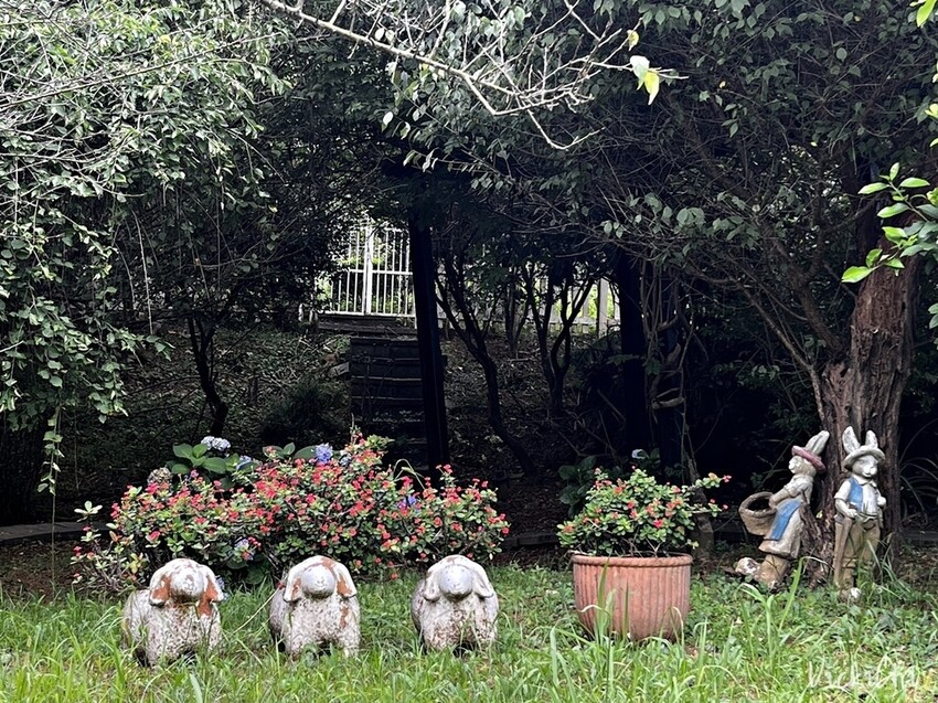 新北三芝｜不限時，對親子及寵物友善的小馬貝菈咖啡廳