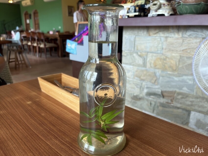 新北三芝｜不限時，對親子及寵物友善的小馬貝菈咖啡廳