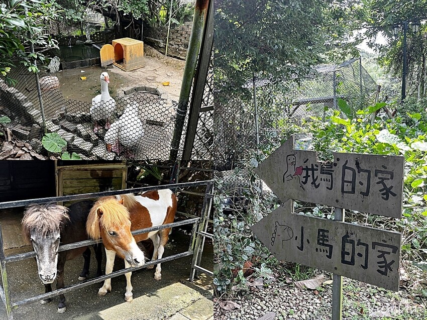 新北三芝｜不限時，對親子及寵物友善的小馬貝菈咖啡廳