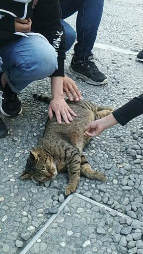 宜蘭景點｜大同鄉，清水地熱公園：泡泡腳、自助竹簍溫泉蛋、筊白筍、玉米