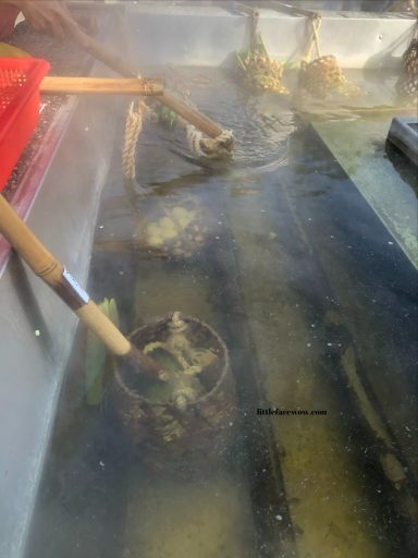 宜蘭景點｜大同鄉，清水地熱公園：泡泡腳、自助竹簍溫泉蛋、筊白筍、玉米