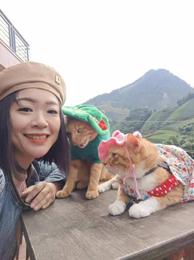 371587.jpg - 【嘉義.梅山】霧裡村x百冠製茶。寵物友善餐廳。透明玻璃窗望向超美山景