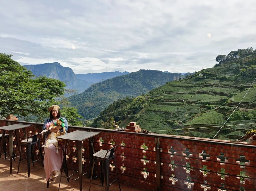 371577.jpg - 【嘉義.梅山】霧裡村x百冠製茶。寵物友善餐廳。透明玻璃窗望向超美山景