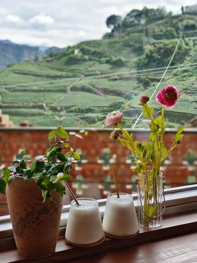 370874.jpg - 【嘉義.梅山】霧裡村x百冠製茶。寵物友善餐廳。透明玻璃窗望向超美山景