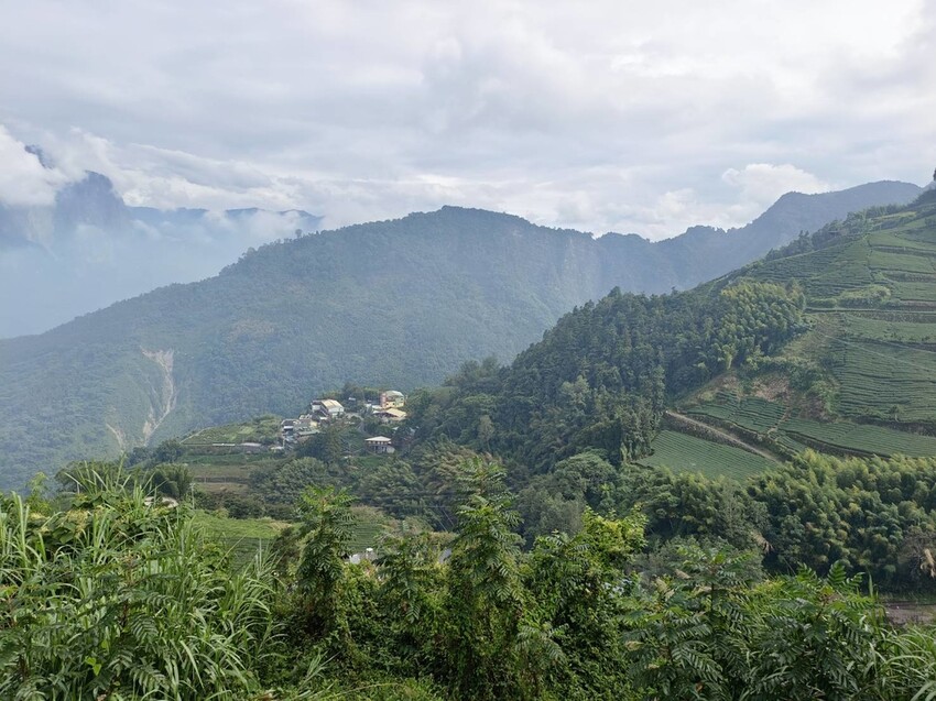 371549.jpg - 【嘉義.梅山】霧裡村x百冠製茶。寵物友善餐廳。透明玻璃窗望向超美山景