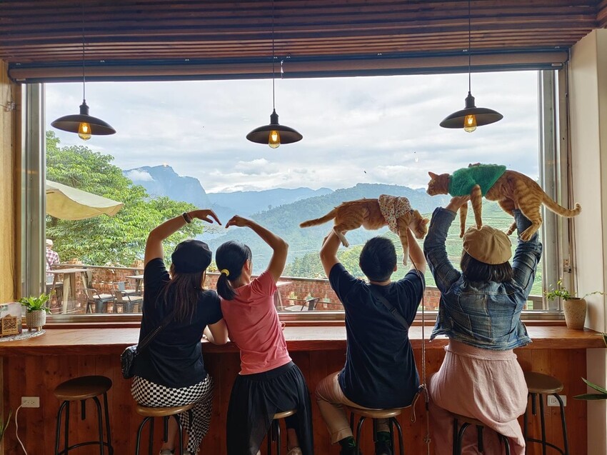 371557.jpg - 【嘉義.梅山】霧裡村x百冠製茶。寵物友善餐廳。透明玻璃窗望向超美山景