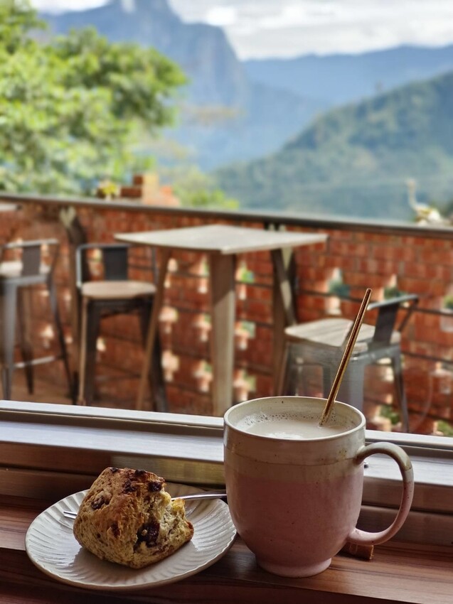 371574.jpg - 【嘉義.梅山】霧裡村x百冠製茶。寵物友善餐廳。透明玻璃窗望向超美山景