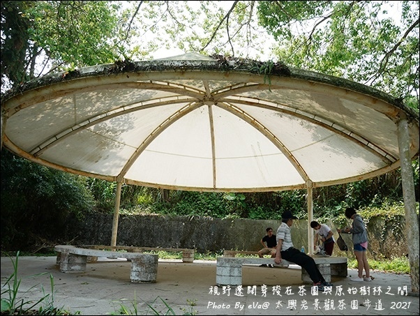 太興岩景觀茶園步道-20.jpg 太興岩景觀茶園步道-20.jpg